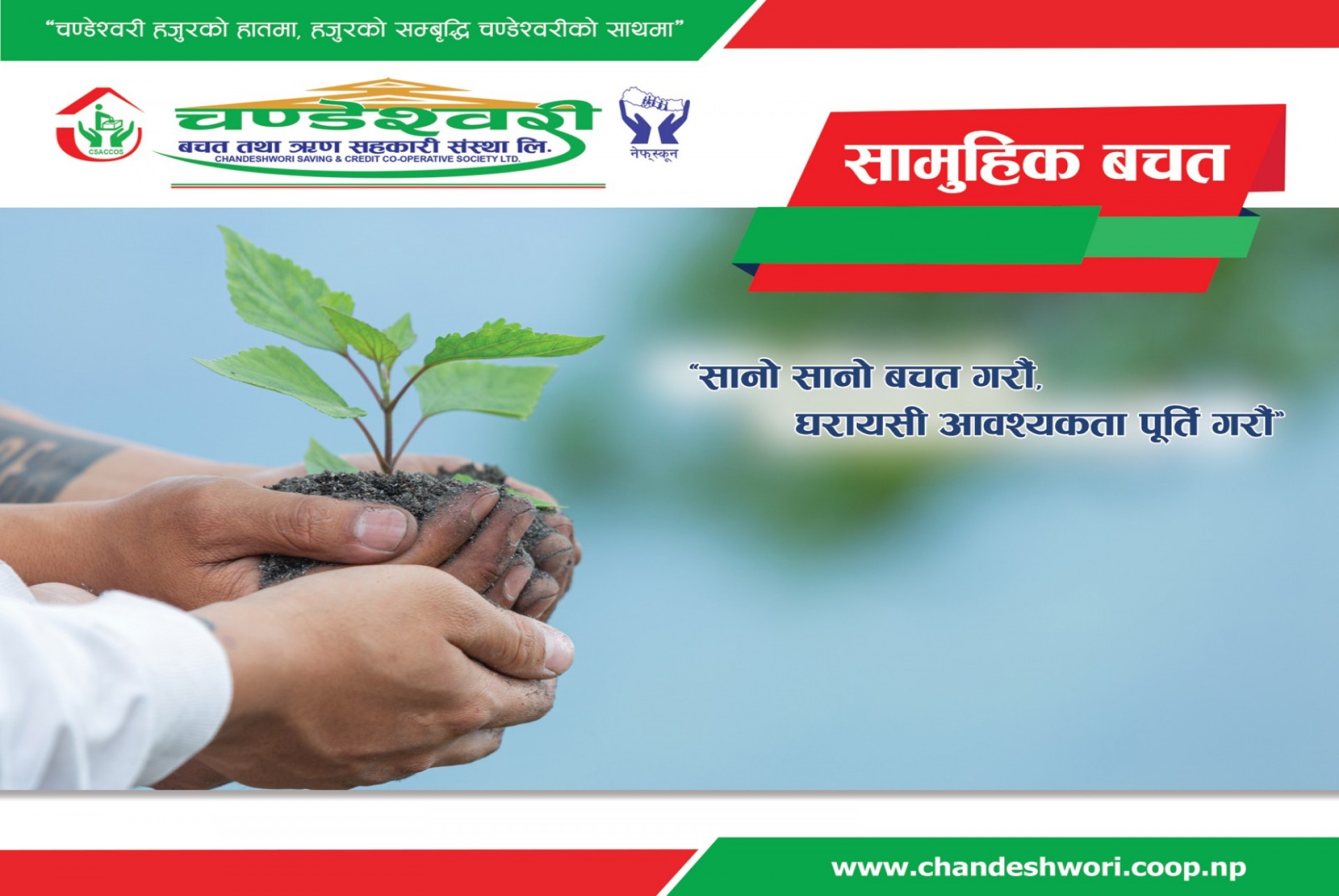 समूहगत बचत