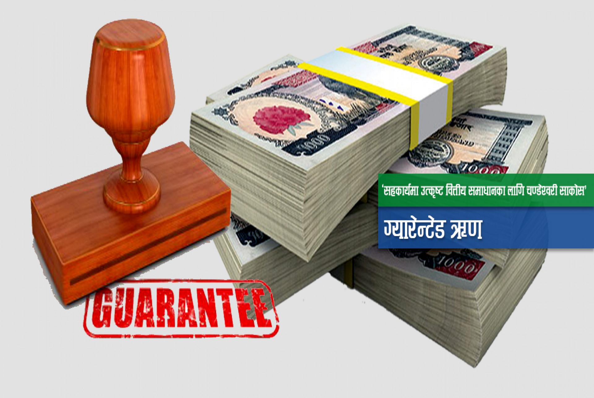 Guarantee Loan